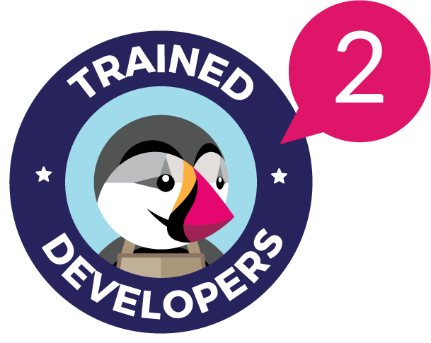 202 ecommerce Trained Developers